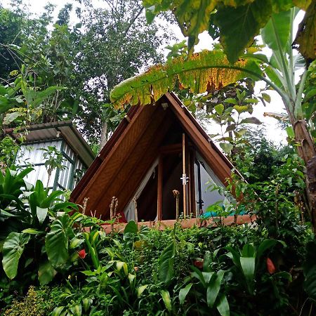 Bed and Breakfast Eco Bedugul Adventurer Camp Exteriér fotografie