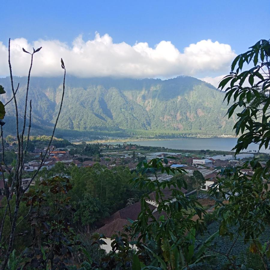 Bed and Breakfast Eco Bedugul Adventurer Camp Exteriér fotografie