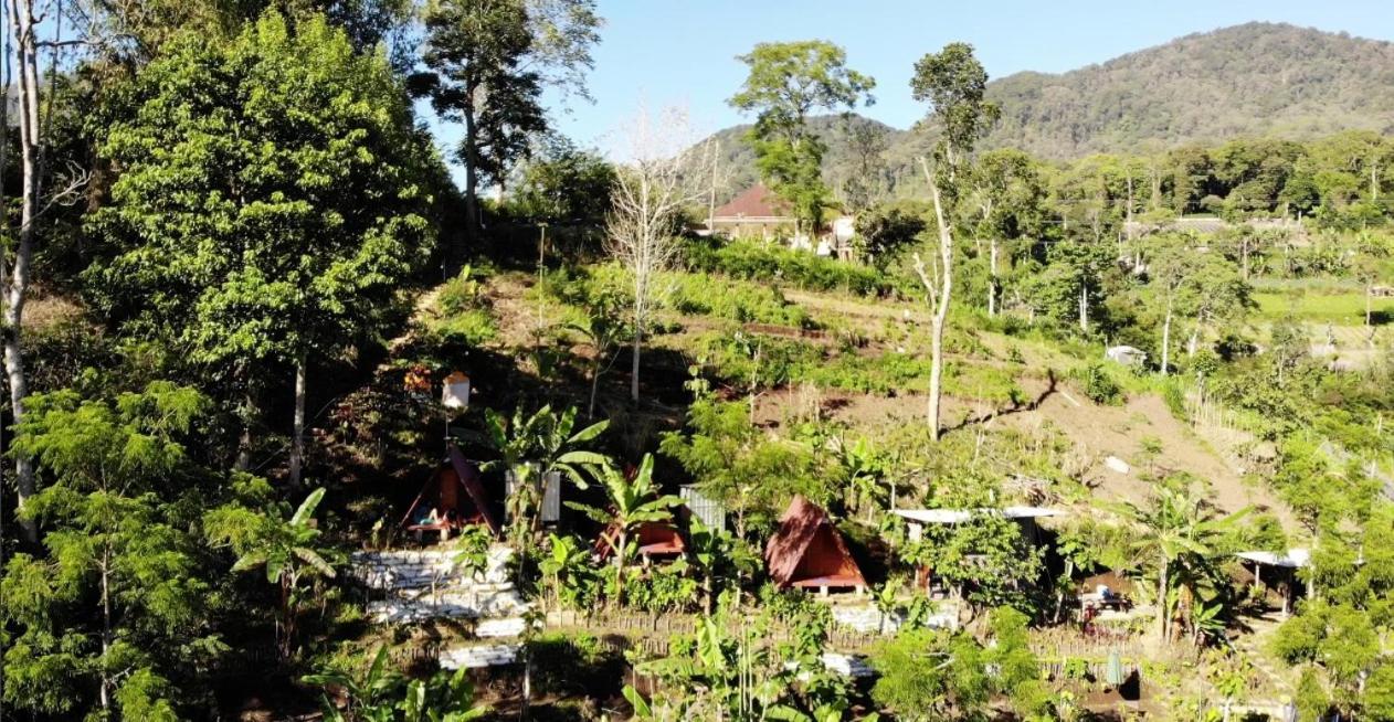 Bed and Breakfast Eco Bedugul Adventurer Camp Exteriér fotografie