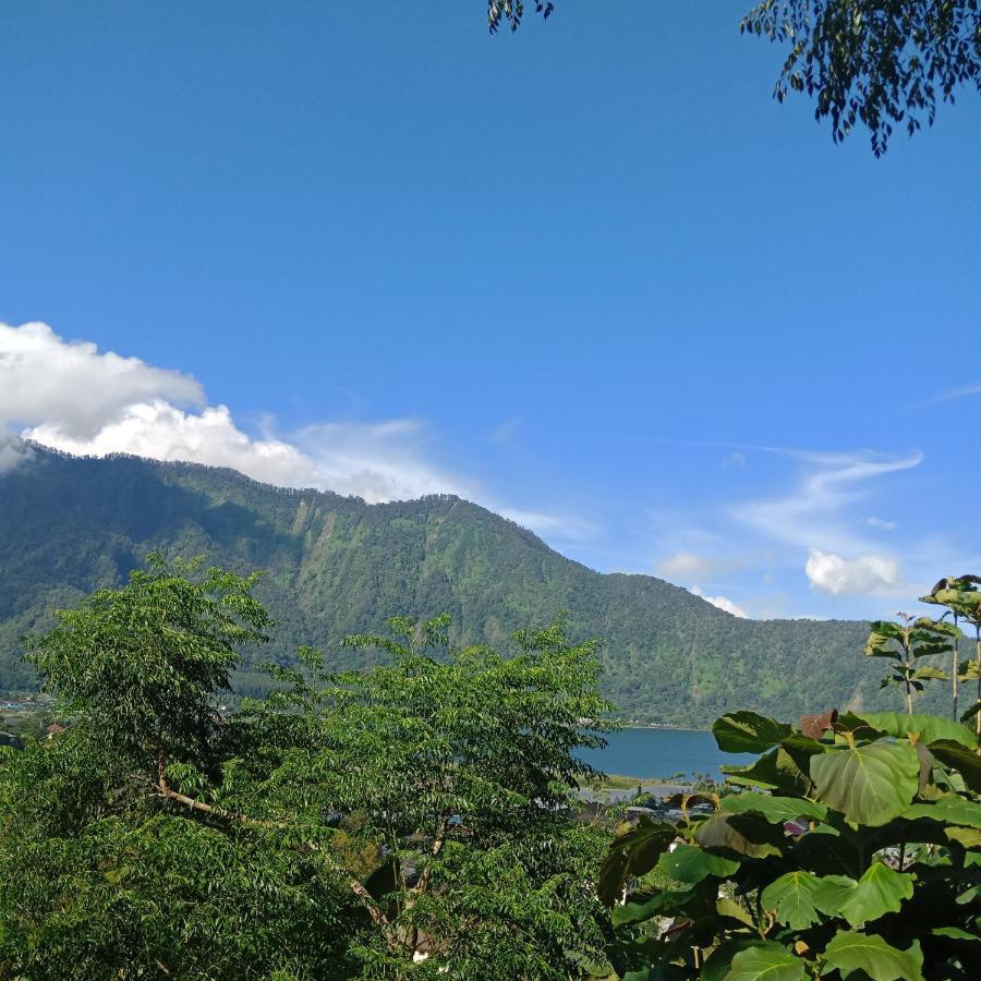 Bed and Breakfast Eco Bedugul Adventurer Camp Exteriér fotografie