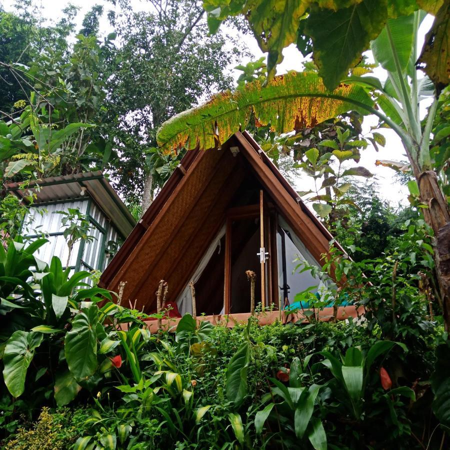 Bed and Breakfast Eco Bedugul Adventurer Camp Exteriér fotografie