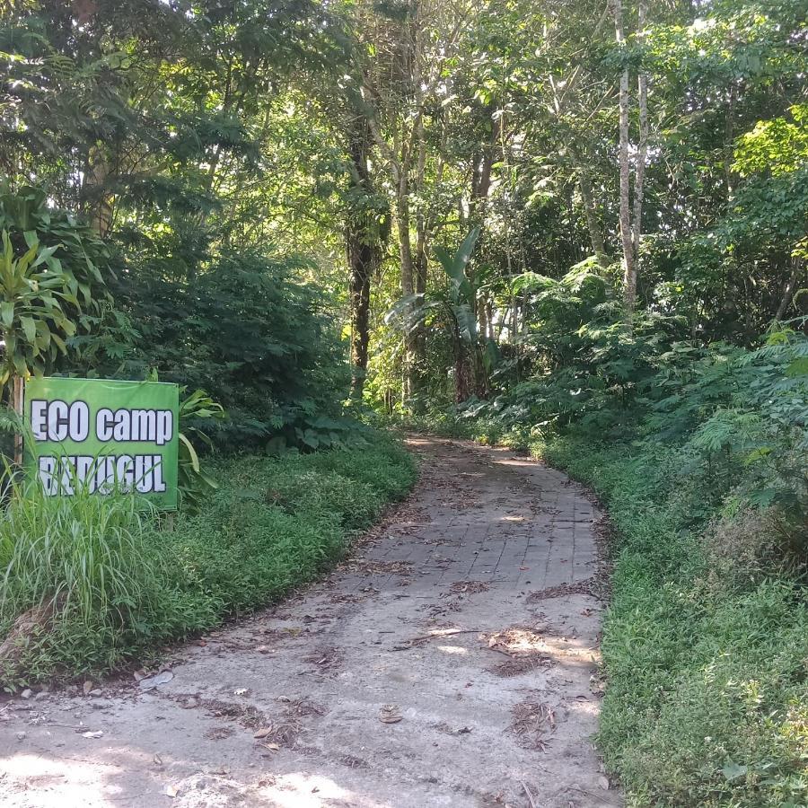Bed and Breakfast Eco Bedugul Adventurer Camp Exteriér fotografie
