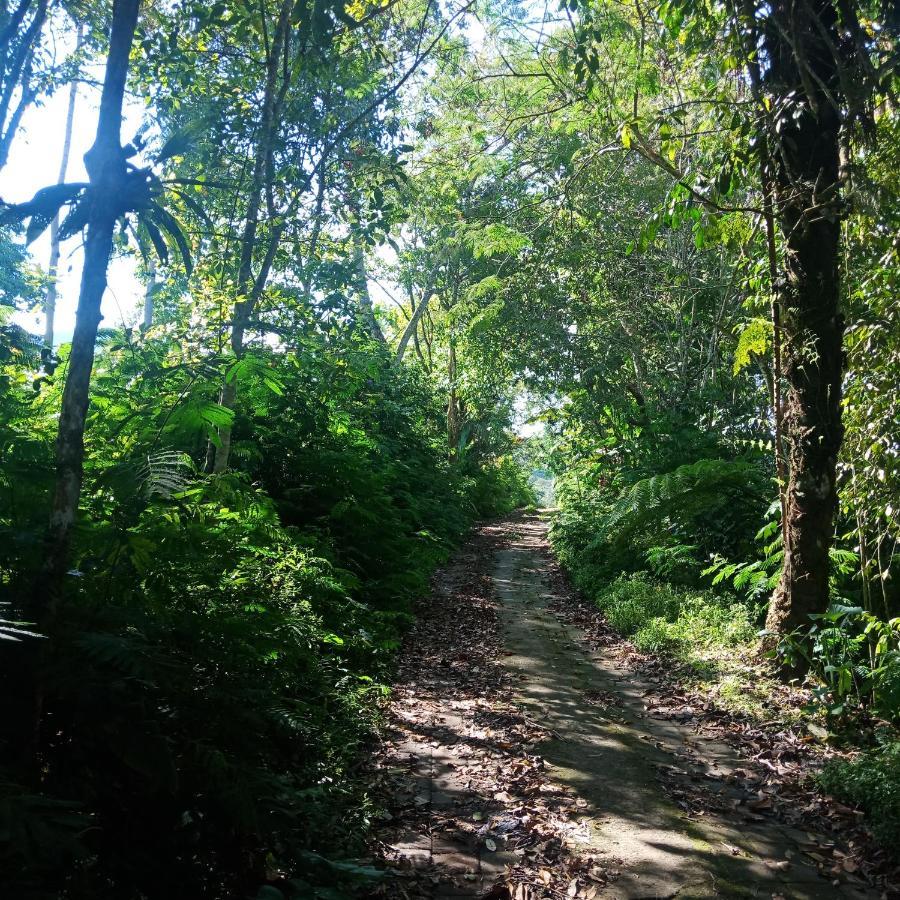 Bed and Breakfast Eco Bedugul Adventurer Camp Exteriér fotografie