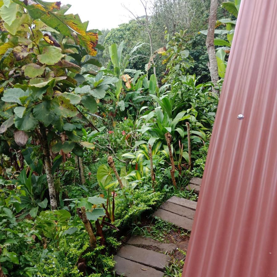 Bed and Breakfast Eco Bedugul Adventurer Camp Exteriér fotografie