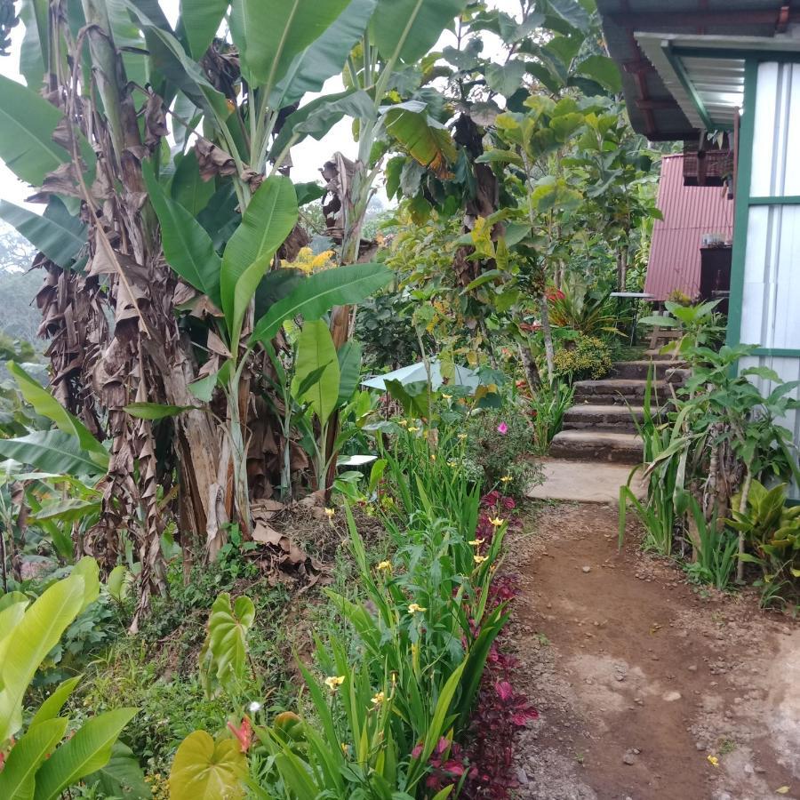 Bed and Breakfast Eco Bedugul Adventurer Camp Exteriér fotografie