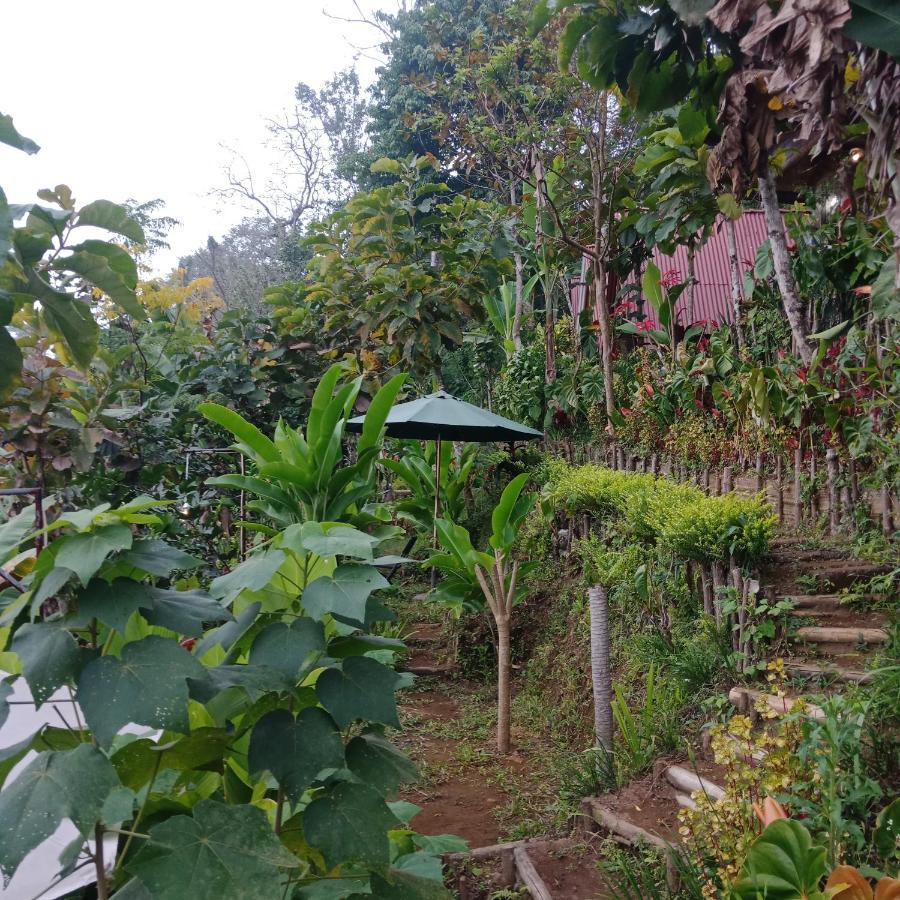 Bed and Breakfast Eco Bedugul Adventurer Camp Exteriér fotografie
