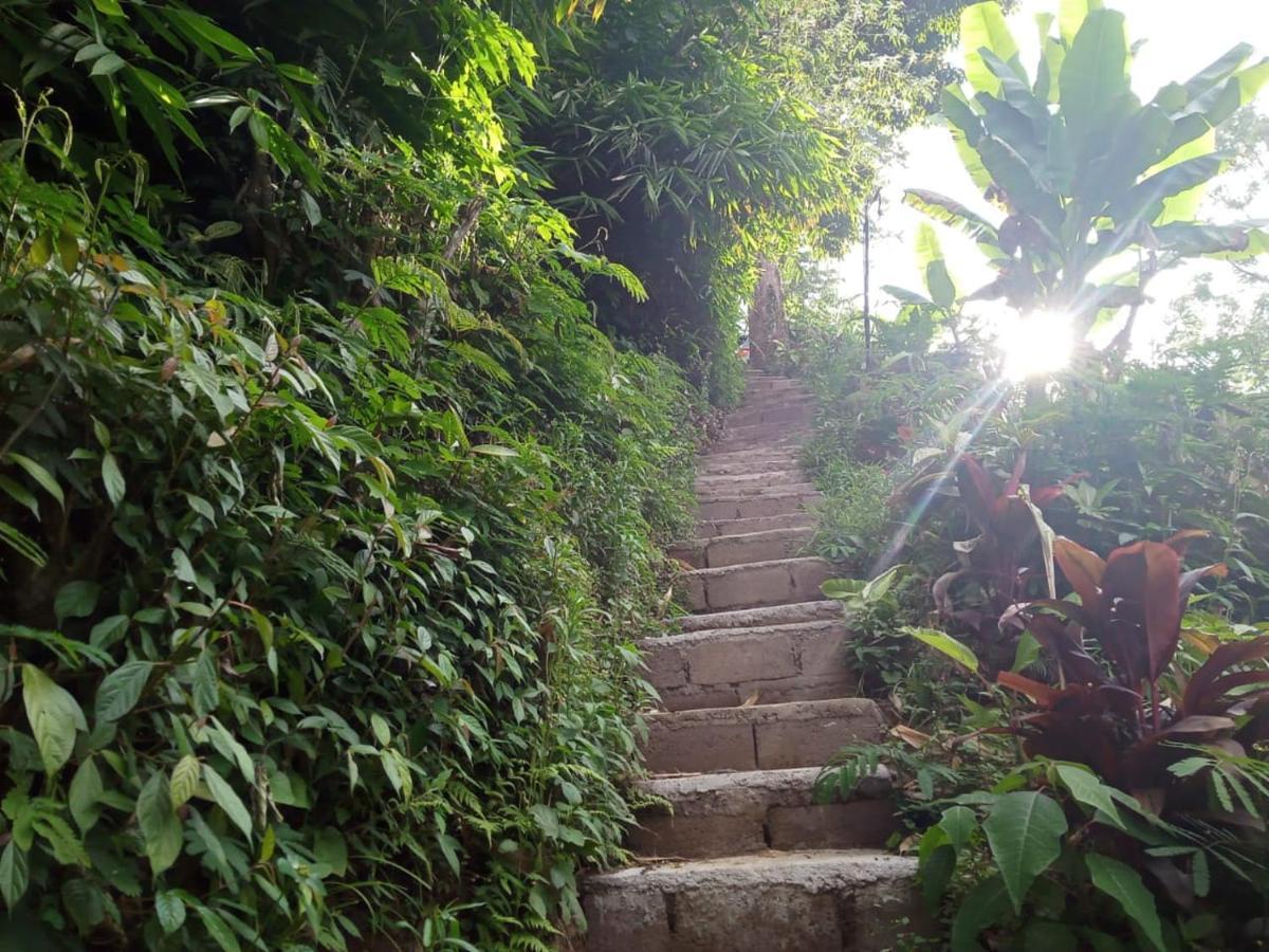 Bed and Breakfast Eco Bedugul Adventurer Camp Exteriér fotografie